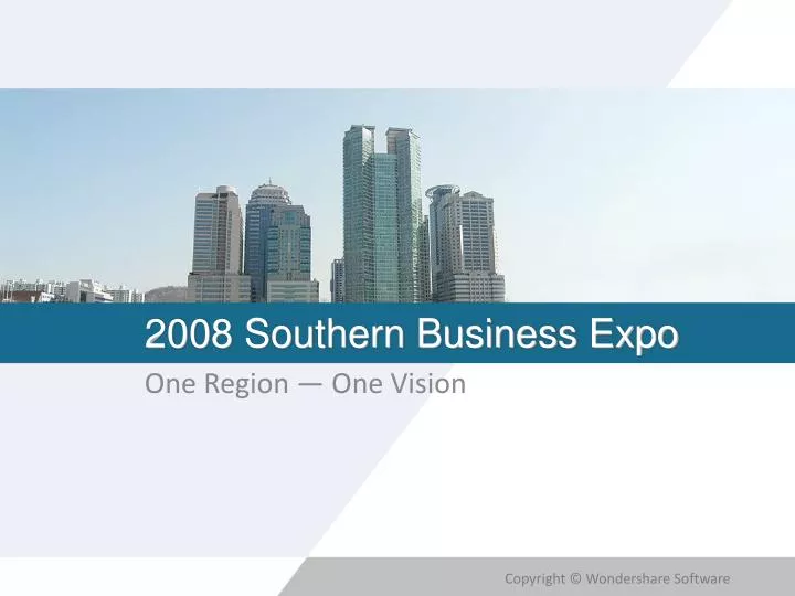 2008 southern business expo