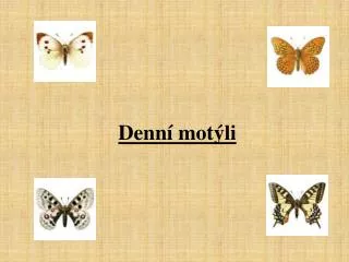 denn mot li