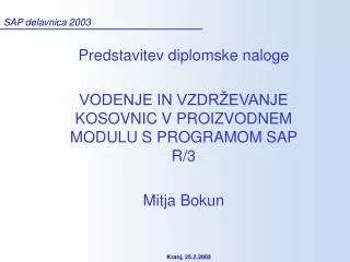 sap delavnica 2003