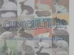 CUNICULTURA - slide 1
