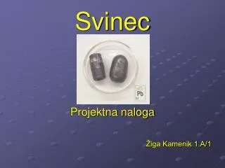 svinec