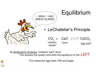 equilibrium