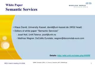 White Paper Semantic Services