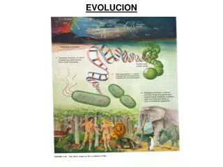 evolucion