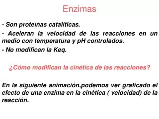 enzimas
