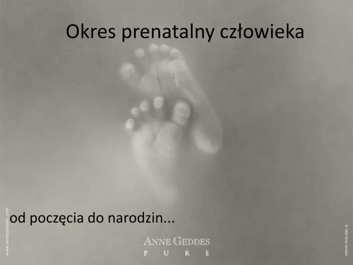 okres prenatalny cz owieka