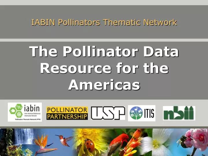 iabin pollinators thematic network