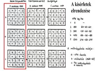 Kéttényezős varianciaanalízis (véletlen blokk)