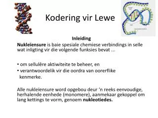 kodering vir lewe