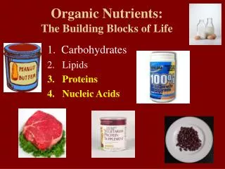 Organic Nutrients: The Building Blocks of Life