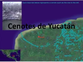 cenotes de yucat n