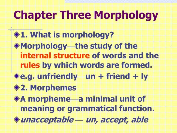 chapter three morphology