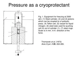 Pressure as a cryoprotectant