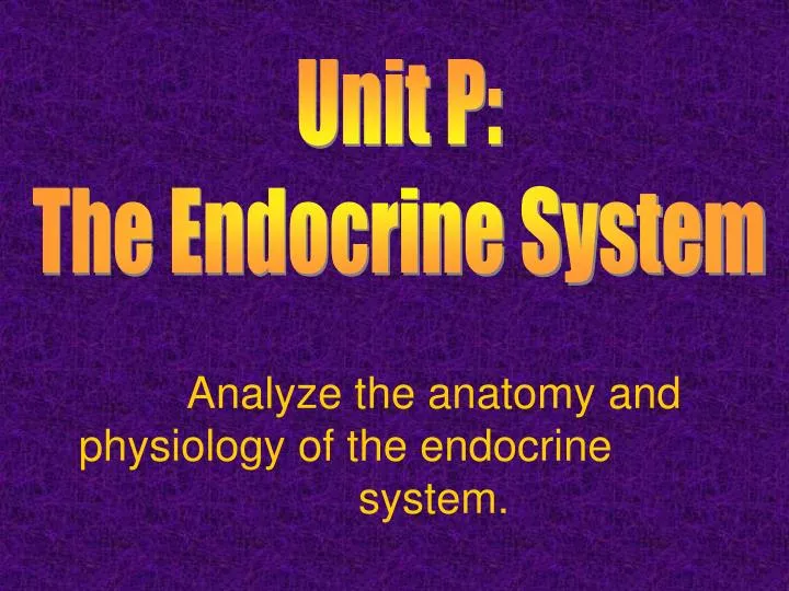 analyze the anatomy and physiology of the endocrine system
