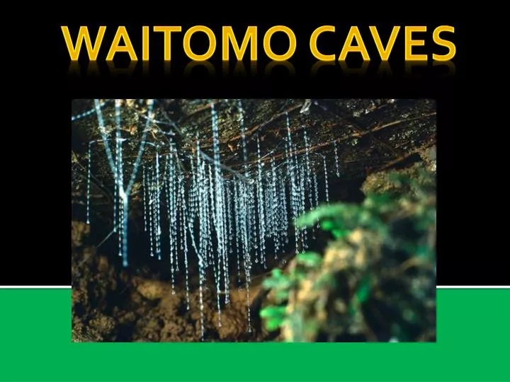 waitomo caves