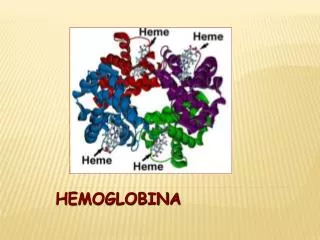 hemoglobina