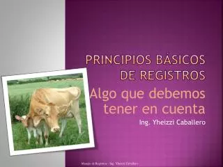 principios b sicos de registros