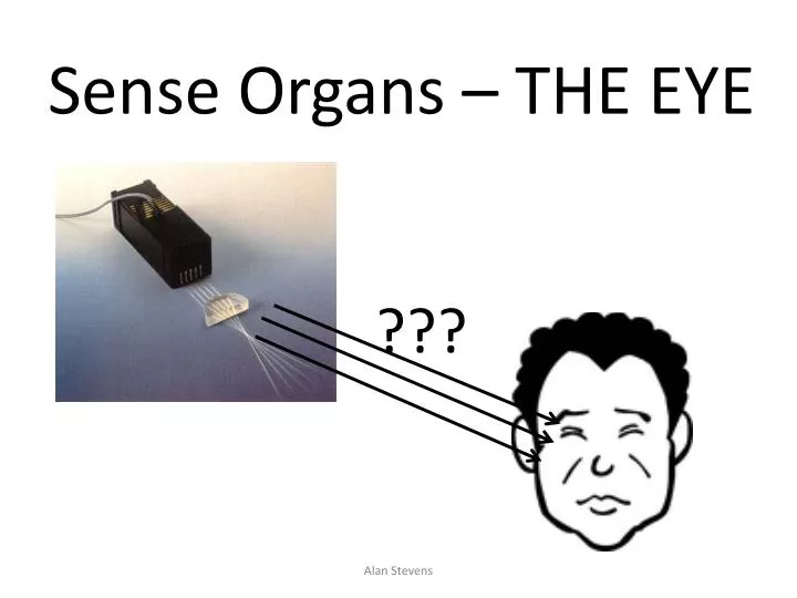 sense organs the eye