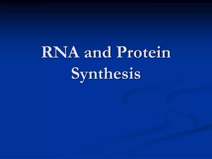 rna and protein synthesis