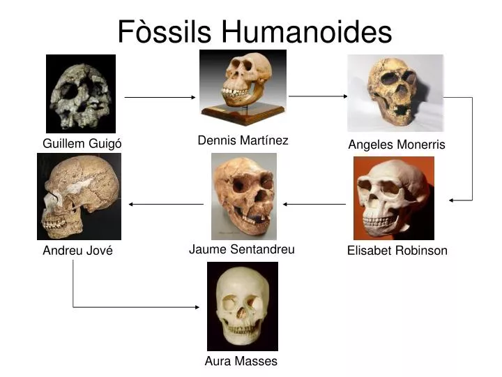 f ssils humanoides
