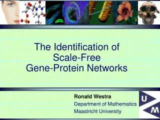 The Identification of Scale-Free Gene-Protein Networks