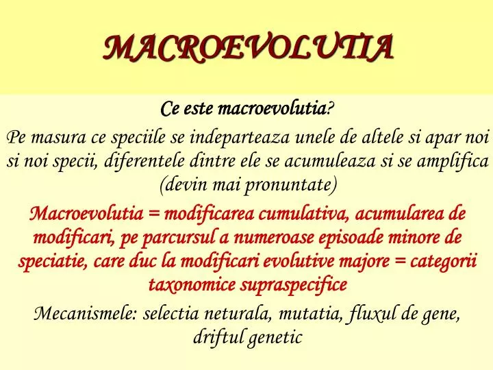 macroevolutia