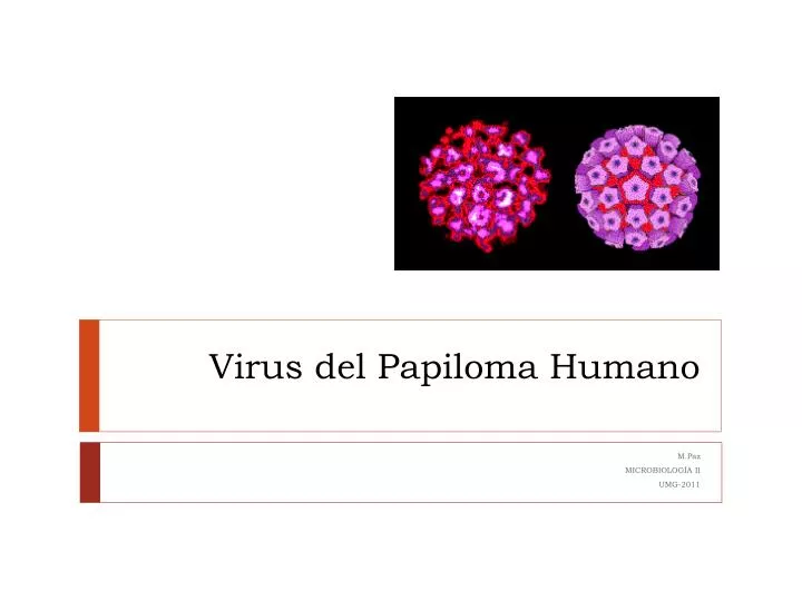 virus del papiloma humano