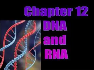 Chapter 12 DNA and RNA