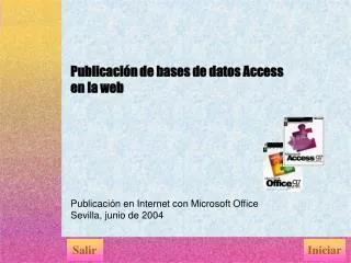 publicaci n de bases de datos access en la web