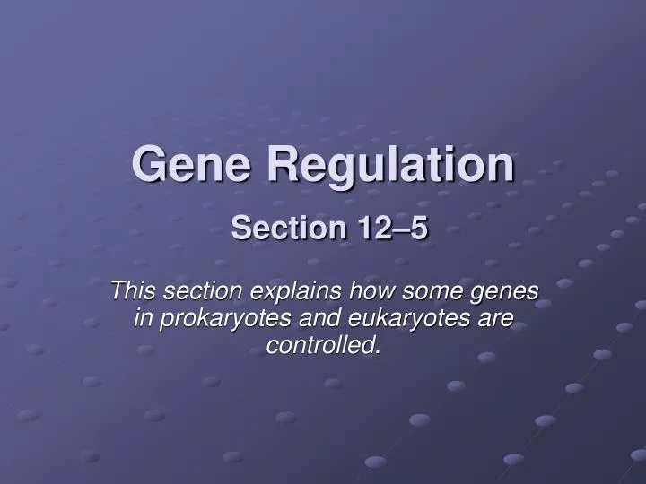 gene regulation section 12 5
