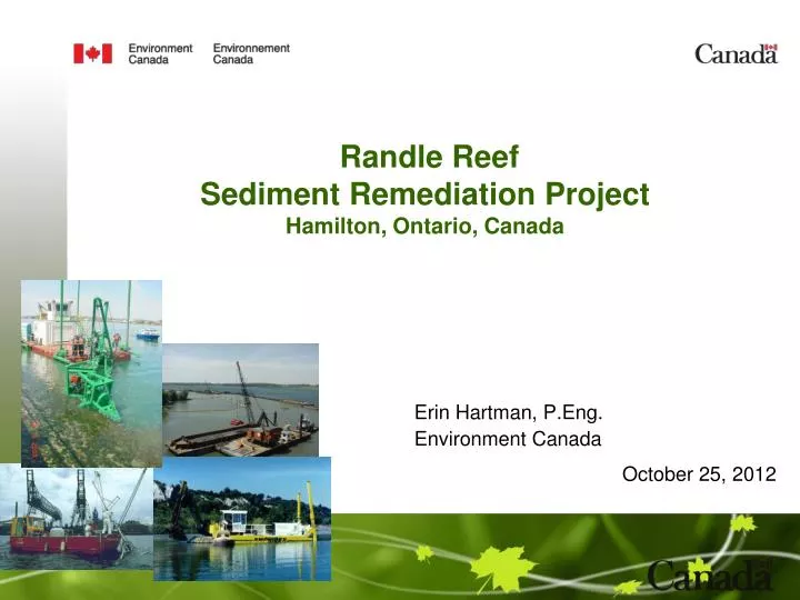 randle reef sediment remediation project hamilton ontario canada