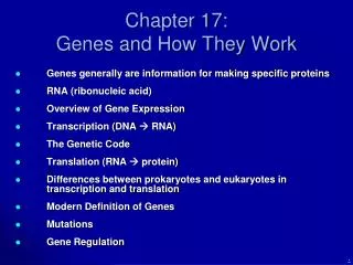 Chapter 17: Genes and How They Work