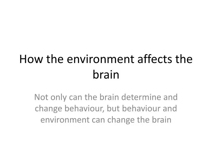 how the environment affects the brain