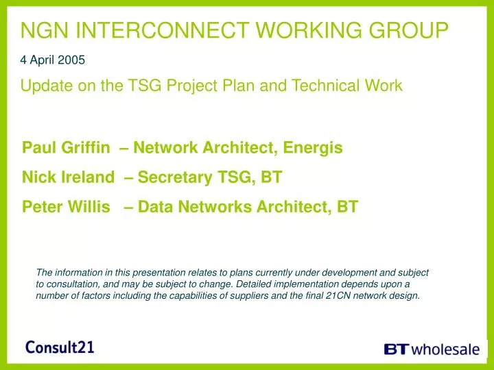 ngn interconnect working group 4 april 2005 update on the tsg project plan and technical work
