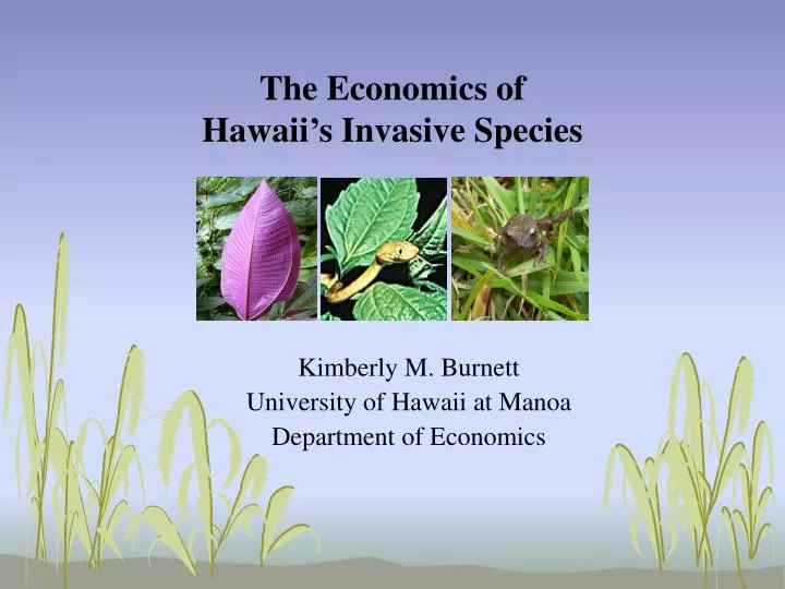 the economics of hawaii s invasive species