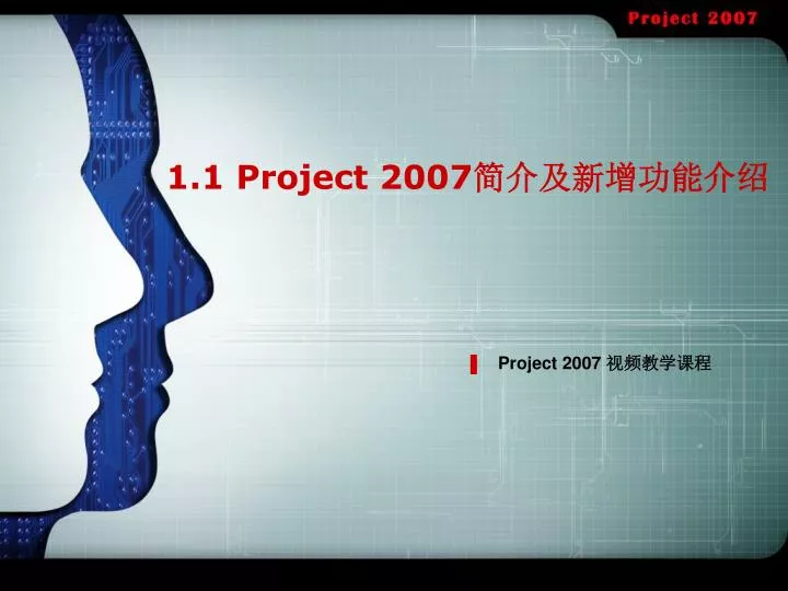 1 1 project 2007