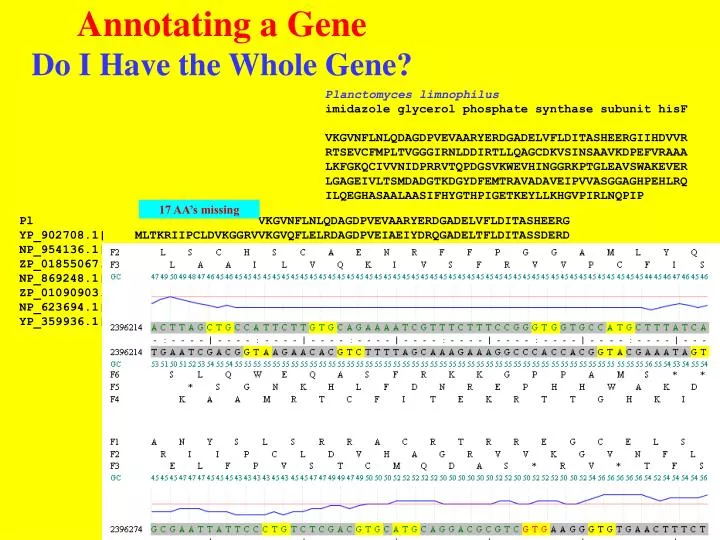 annotating a gene do i have the whole gene