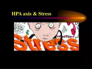 HPA axis &amp; Stress