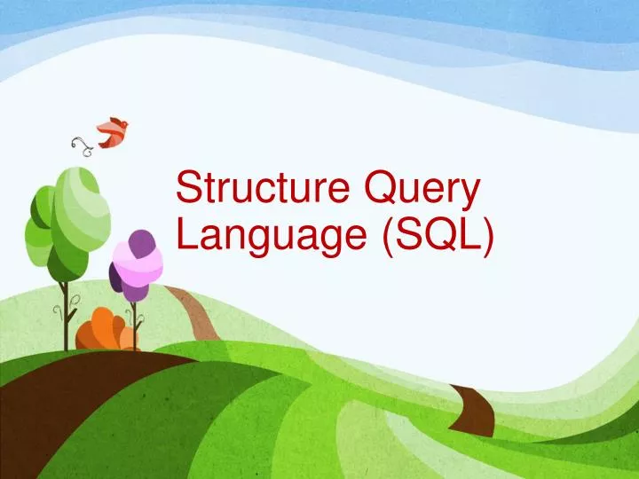 structure query language sql