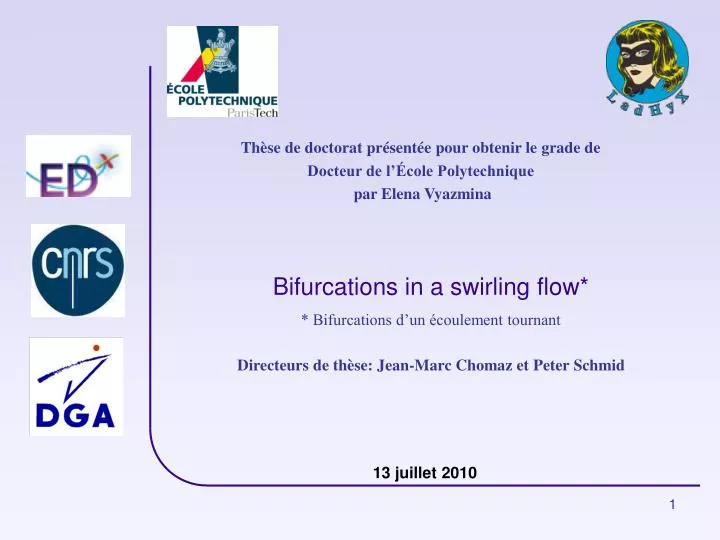 bifurcations in a swirling flow
