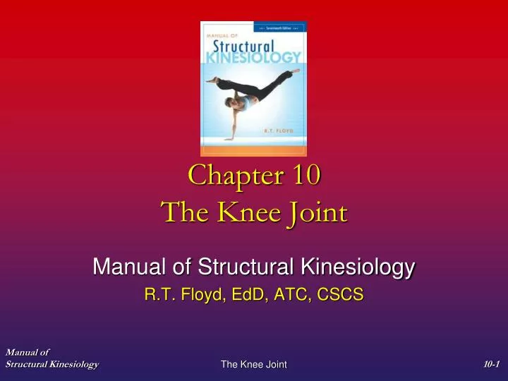 chapter 10 the knee joint
