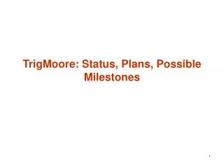 TrigMoore: Status, Plans, Possible Milestones