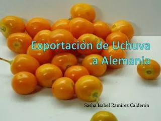 exportaci n de uchuva a alemania