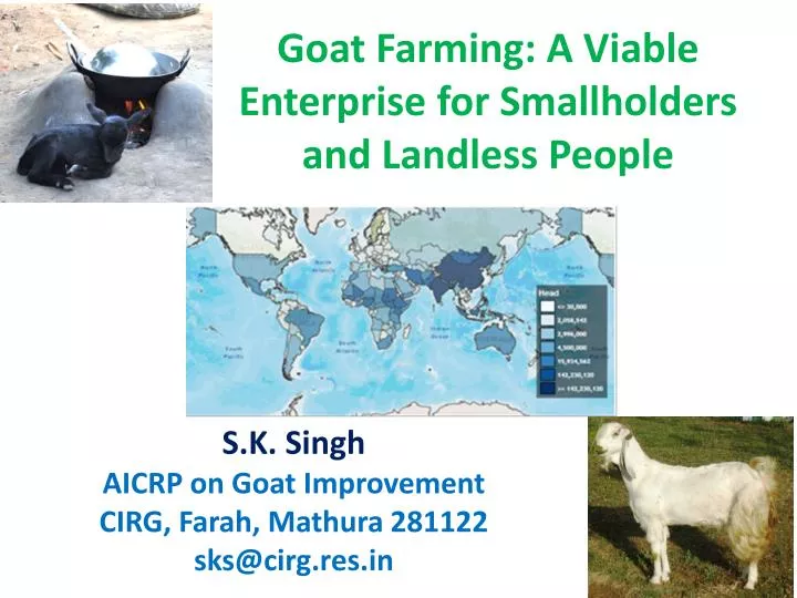 goat farming a viable enterprise for smallholders and landless people