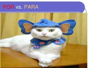 POR vs. PARA