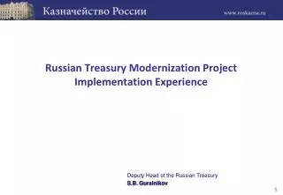 Russian Treasury Modernization Project Implementation Experience