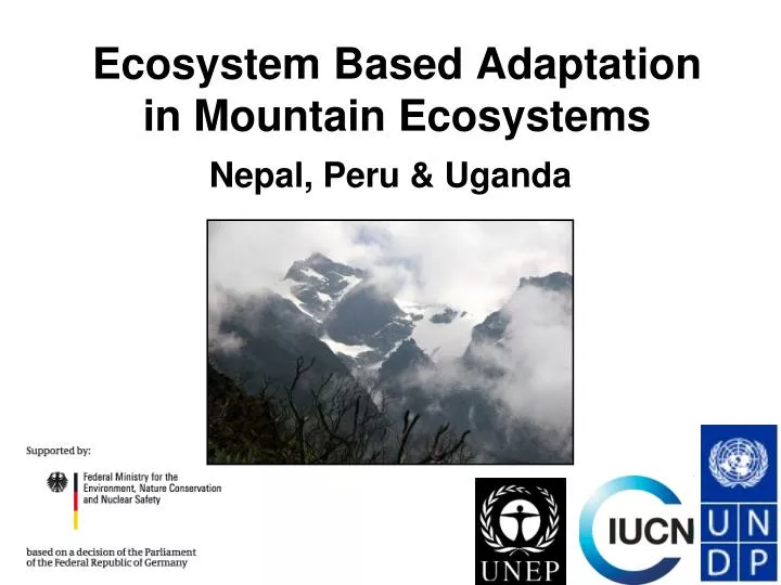 ecosystem based adaptation in mountain ecosystems
