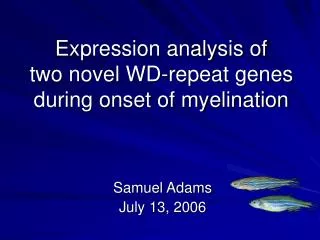 expression analysis of two novel wd repeat genes during onset of myelination