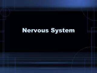 nervous system