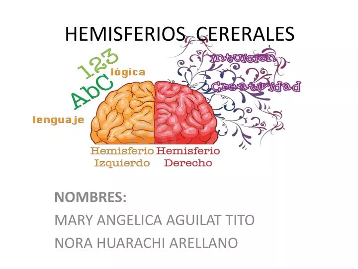 hemisferios cererales